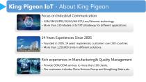 King Pigeon IoT-2