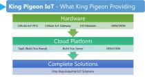 King Pigeon IoT-4