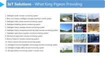 King Pigeon IoT-5