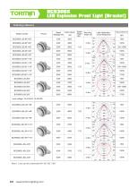 BC9306S explosion proof fixed light - 2