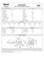 DATASHEET THREE PHASE INDUCTION MOTOR - SQUIRREL CAGE IE2 - 1