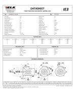 DATASHEET THREE PHASE INDUCTION MOTOR - SQUIRREL CAGE Type: 3EC080M2D-FA-A0-000 - 1