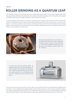 WHITEPAPER ROLLER MILL DRIVE-2
