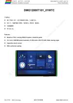DMG12800T101_01WTC Datasheet-1