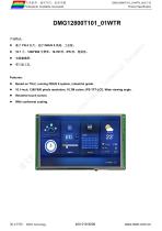 DMG12800T101_01WTR Datasheet-1