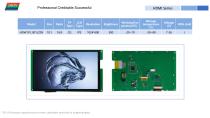 HDMI+LVDS Catalog-20