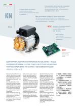 KN Brass - Regenerative Turbine Electric Pumps-2