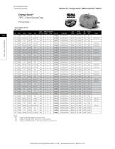 Standard Industrial Motor Catalog 2019 - 18