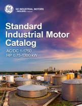 Standard Industrial Motor Catalog 2019 - 1