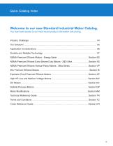 Standard Industrial Motor Catalog 2019 - 3