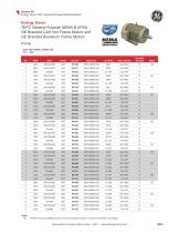 Standard Industrial Motor Catalog 2023 - 13