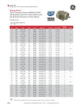 Standard Industrial Motor Catalog 2023 - 14