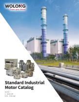 Standard Industrial Motor Catalog 2023 - 1