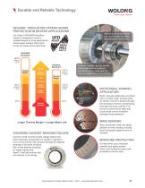 Standard Industrial Motor Catalog 2023 - 7