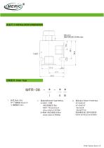 Needle valve MFR-08-2