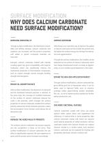 ALPA Calcium Carbonate powder Processing Technology-11