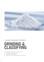 ALPA Calcium Carbonate powder Processing Technology-2