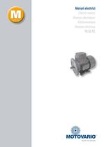 Electric motors - Technical catalogue - M/2011/REV.2 - IT+EN+FR+DE+ES+CN - 1