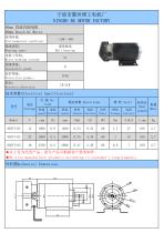 The DC Brushed Motor Catalogo From Ningbo BG Motor Factory - 9