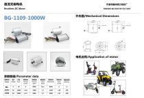 The Electric Car Motor Catalogo from Ningbo BG Motor - 4