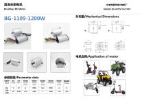 The Electric Car Motor Catalogo from Ningbo BG Motor - 5