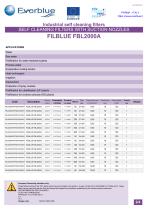 SELF CLEANING FILTERS WITH SUCTION NOZZLES FILBLUE FBL2000A - 2