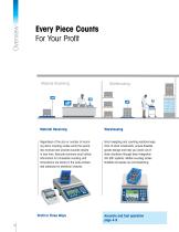 Brochure Piece Counting - 2