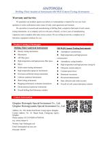 Special Pressure Gas Source device-2