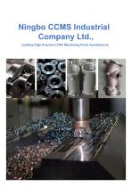 Ningbo CCMS Industrial Company Ltd-1