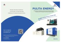 PULITA ENERGY-1