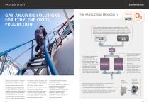 ES 31 Industrial Process & Emissions - 5