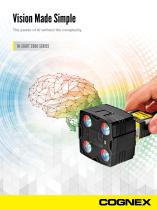 Vision Made Simple The power of AI without the complexity - 1