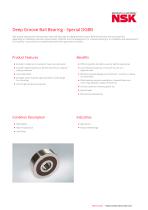 Deep Groove Ball Bearing - Special DGBB-1