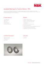 Insulated Bearings for Traction Motors - PPS - 1