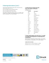 Druck RPS/DPS 8100 High accuracy resonant pressure sensor-8