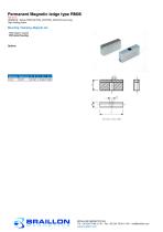 Permanent Magnetic ledge type RM06 - 1