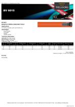 BV 6015-1