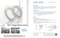 CPS DSG Gasket-1