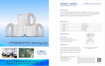 CPS6000 PTFE Packing Set-1