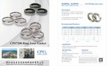 CPS7200 Ring Joint Gasket-1