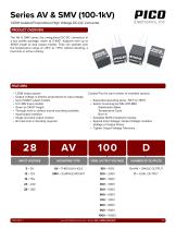 Series AV & SMV (100-1kV)-1