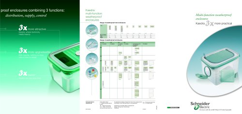 Kaedra : the 1st electrical weather