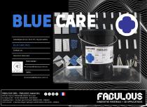 BLUECARE presentation-7