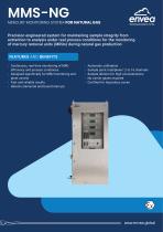 Mercury monitoring system for natural gas MMS-NG-1