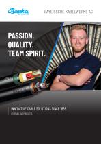 COMPANY AND PRODUCTS-1