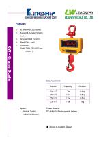 CW - Crane Scale - 1