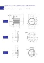 W Cast Iron motors - 18