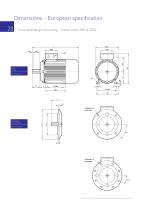 W Cast Iron motors - 20