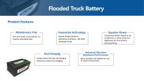 Camel Flooded Truck Battery 6-QWD series - 4