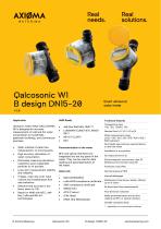 W1 *B Datasheet-1